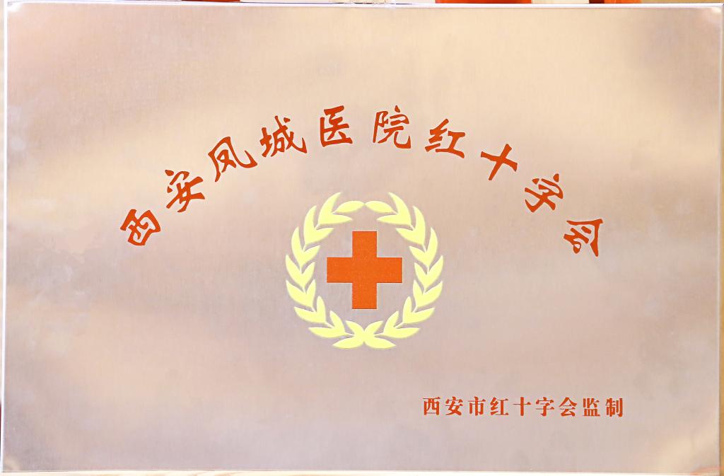 西安凤城医院西安凤城医院红十字会