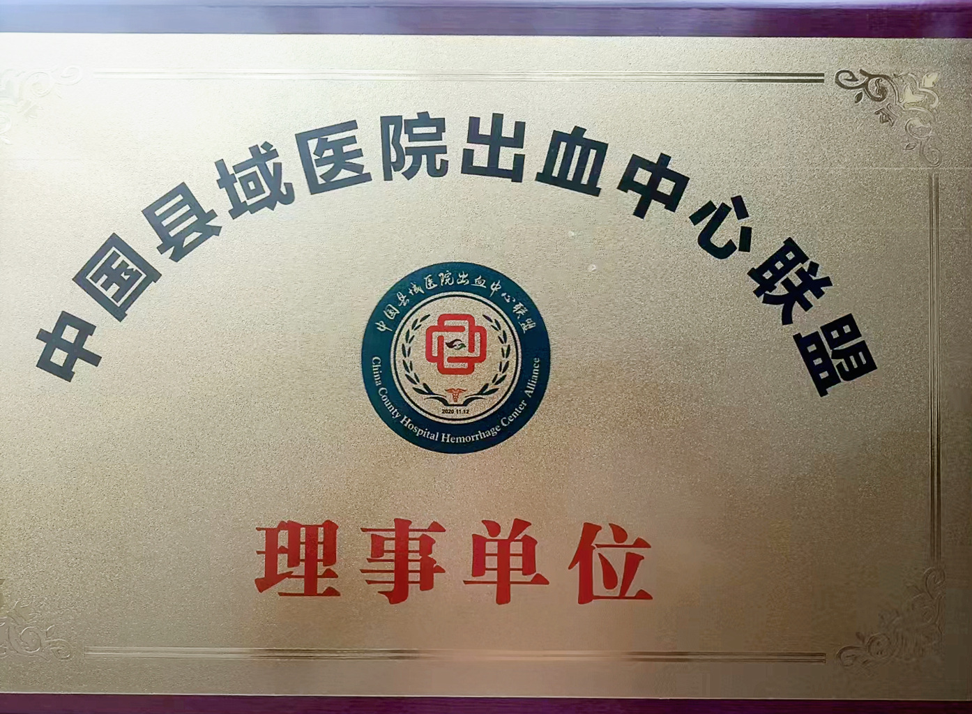 西安凤城医院中国县域医院出血中心联盟理事单位