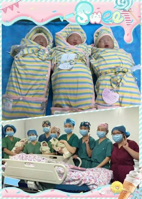 "龙凤三胞胎"长大了!